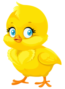 cute yellowchick